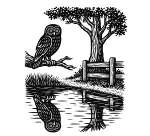 628AD08E-39DF-44A4-987D-FF87663867DB